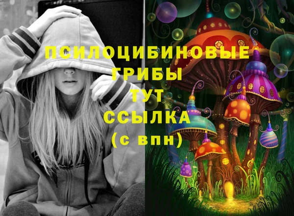 МДПВ Арсеньев