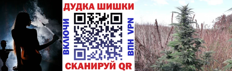Марихуана Amnesia Бабушкин